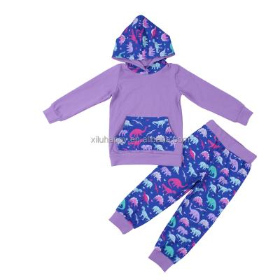 China Fashionable Autumn Winter Sustainable Kids Clothes Dinosaur Print Sports Outfits Hooded Baby Pants 2-Piece Set for sale