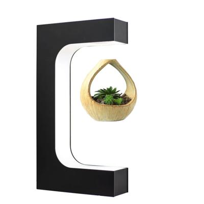 China Modern Gleagle Plants DIY Magnetic Floating Hanging Levitate Flower Pot Levitating Magnetic Air Bonsai Floating Levitating Plants for sale