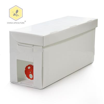 China Plastic Farms Beekeeping Tools 5 Frames Core Hive Bee Box For Beekeeping for sale