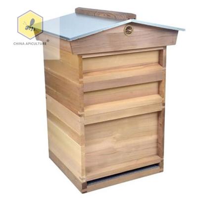 China Farms Beekeeping Tools Red British National 12 Frame Cedar Or Pine Wood Hive Bee Box For Beekeeping for sale