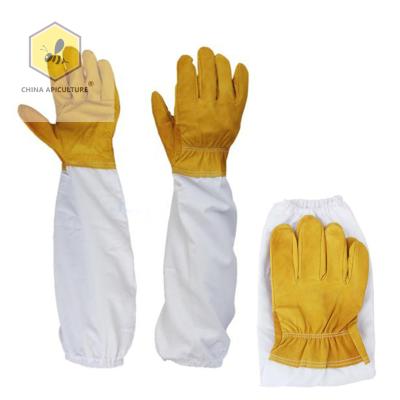 China Farms Beekeeping Tools Goatskin Leather Beekeeper's Glove with Long Canvas Sleeve and Elastic Cuff (Middle) for sale