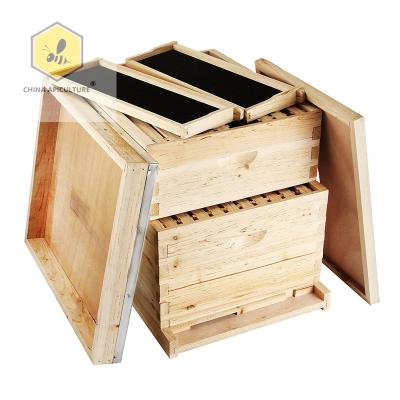 China Hive Langstroth Selling Cultivates Box 8 or 10 Layers 2 Frames Hot Bee Hives for sale