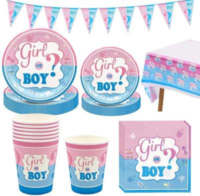 China Boys and girls gender reveals boy or girl paper party tableware set baby shower decoration for sale