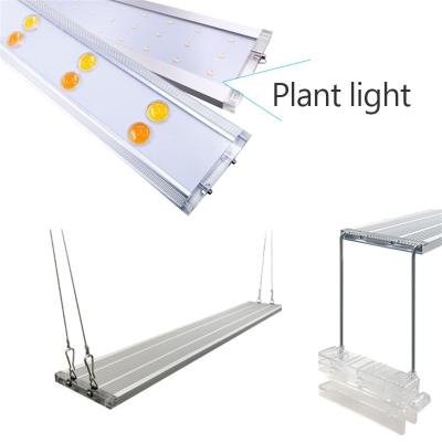 China New Developed Practical Professional Cdc 110-220v from Highlight Grow Lights for Indoor Plants Growing Lights for Indoor Plants for Supermarket for sale