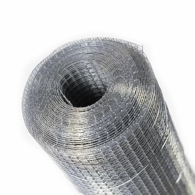 China Corrosion Resistance Africa rolls wire mesh Zinc coated welded wire net in roll 1.2m roll wire mesh for sale