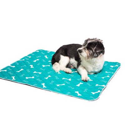 China Dog Pee Mat Puppy Training Potty Pee Pad Viable Reusable Washable Dog Urine Pads for sale