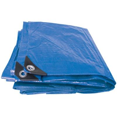 China Waterproof Two Blue Standard Duty 6x8 Cubreautos Outdoor Poly Tarps for sale