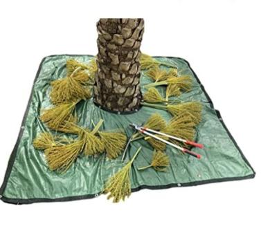 China Durable 8'' landscape pruning tarp *8 with 12