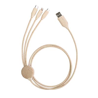 China Wheat Biodegradable Straw Mini USB Cable USB Data Cable Charging Usb MP3/MP4 Player Mini Materials Eco-friendly for sale