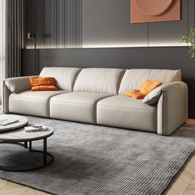 China En's Fun Italiaanse minimalistische olifant oor stof elektrisch terugtrekbaar moderne eenvoudige woonkamer sofa Te koop