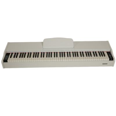 China Metronome SOLATI Hammer Weighted Digital Piano 88 Keys Electronic Piano Keyboard for sale