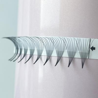 China OEM Natural Wholesale Long Tray 240 Fans 7d 8d 9d 10d 12d Fans 7d 8d 9d 10d 12d Premade Fanned Big Heat Bonded Volume Pointed Base Lashes 0.07 Fanned Eyelash Extensions for sale