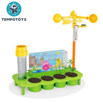 China New Eco-friendly Material Toys For Kid's Plant DIY Flowering Toy Plant Toy for sale