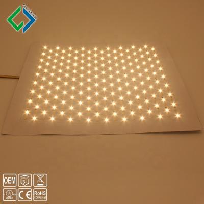 China OEM 24V/48V Warehouse Full Spectrum Ra95 CRI 2835 Flexible Led Panel 300x300 High CCT Bi Color Sewable Led Panel for sale