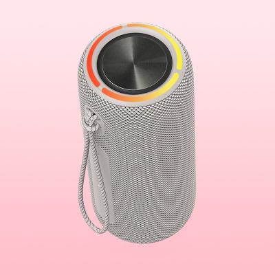 China 30W IPX7 Bluetooth Speaker with Dual Passive Radiators and Enhanced Features for sale