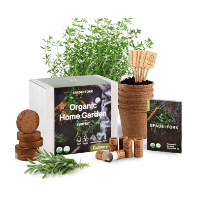 China Outdoor High Quality Kitchen Of Plant Outlet Pulp Flower Pot DIY Planting Kit Self Watering Plant Pot for sale