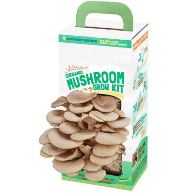 China Wholesale High Quality Organic Mushroom Outdoor Growing Kit Ceramic Plant Pots for sale