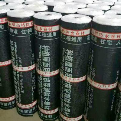 China Modern 3mm roof is planted with root-resistant chemical root-resistant waterproof coils for roof exterior wall for sale