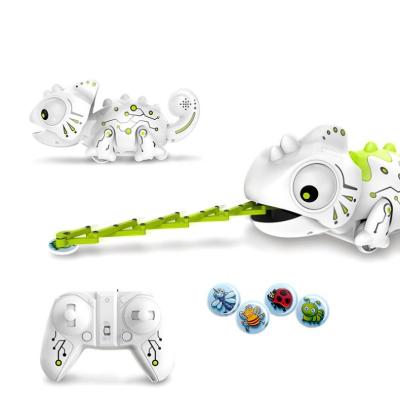 China RC Hobby 2.4ghz LED Light Simulation Remote Control Chameleon Toy For Kids for sale