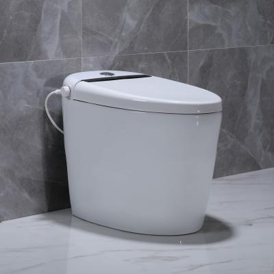 China Cheap One Piece Sanitary Ware Cistern Concealed Cistern Bathroom Modern Ceramic Toilet Wc With Nano Glaze for sale