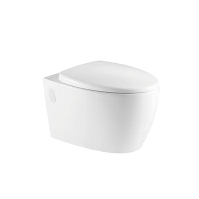 China Double-Flow Manufacturer Wholesale High Quality One Piece Ceramic Wall Hung Toilet for sale