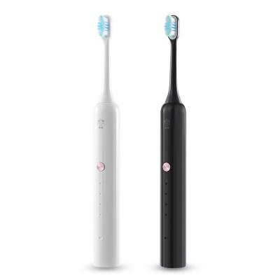 China Household Led Blue Light Whitening Sonic Toothbrush Ipx 7 Water Play Equipment Wheat Straw Electric Toothbrush 2021 Innovative Products for sale