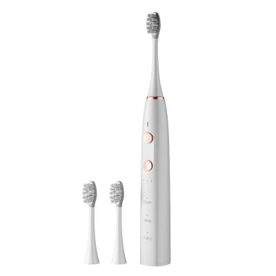 China China Rechargeable Battery Operated Car Base Cheap Electric Toothbrush With Polish for sale