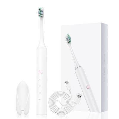 China Sonic Electric Toothbrush Beauty Personal Care Oral Hygiene Cleaner OEM Anchorless Oral Oral Hygiene Cleaner Rechargeable Toothbrush with Key Holder for sale