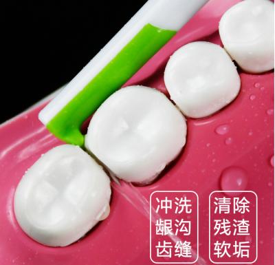 China Quick Insert Family Size Tooth Spray Dental Cleaner Oral Irrigator for sale