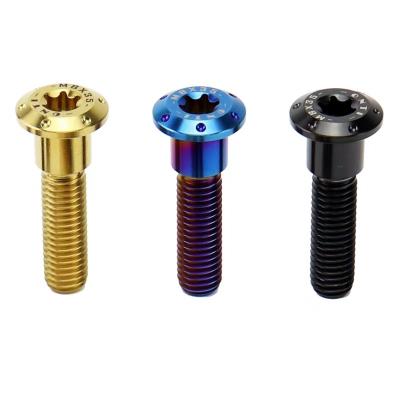 China Sheet matel hot sale titanium screws m6 m8 m10 m12 titanium bolts TA1 TA2 TC4 Gr1 Gr2 Gr5 titanium nuts for sale