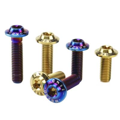 China Sheet matel titanium screws m6 m8 m10 m12 gr1 gr2 gr5 titanium nuts for sale