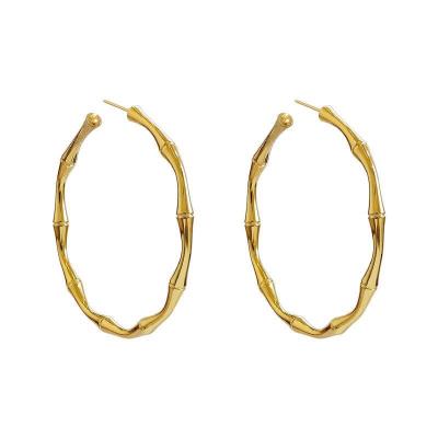 China Hyperbole Sandro 2021 geometric drop earrings for fashion acrylic earrings gold circle ears wholesale for sale