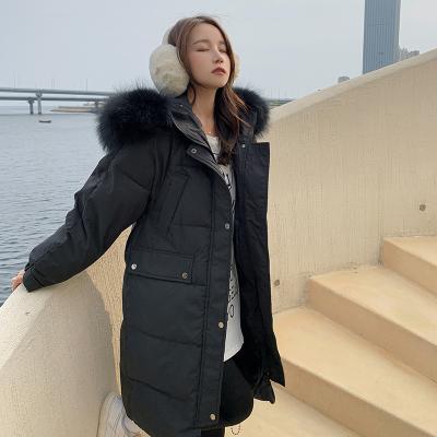 China Hot sales raincoat Cathy Medium - long long cotton-padded fur jacket by factory wholesale price loose collar for sale