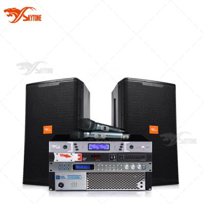 China Small SALE Skytone Sound Equipment System Audio Professional Small Activity Show For 300 Person for sale