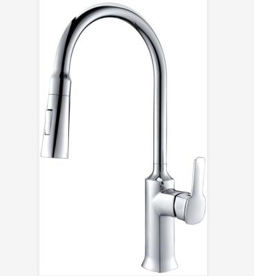 China 2021 New Design WG-ZA1555158 Modern Copper High Quality Kitchen Faucet With Pull Out Sprayer for sale