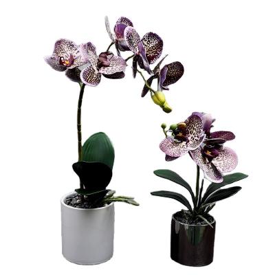 China Home Wholesale Hot Selling Real Orchids Factory Decotation Artificial Flowers With Potted Pot For Wedding Holiday Decoration for sale