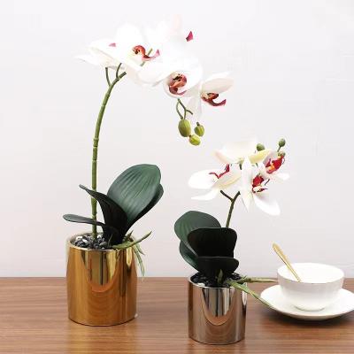 China Wholesale Home Decotation High Quality Real Touch Orchid Flower Gold Artificial Ceramic Pots For Holiday Decoration for sale