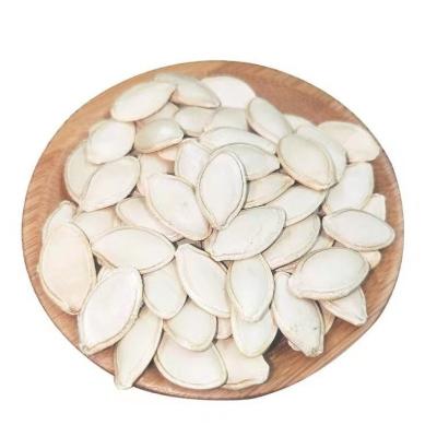 China Dried Nut and Dried Fruit Supplier Wholesales Shelled Pumpkin Seeds High Quality Drying Pumpkin Seeds Good Quality Sweet Pumpkin Seeds for sale