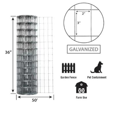 China Anti-corrosion 1/2inch 1inch hole galvanized pvc coated welded wire mesh fence for garden animal protection construction for sale