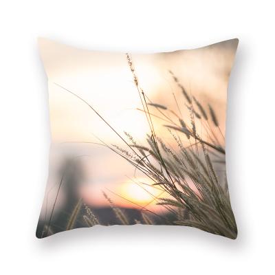 China PORTABLE factory landscape customized wholesale pillow case, waist pillow cushion, Amazon hot style home delivery for sale