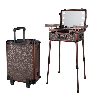 China Professional Aluminum Makeup Rolling Case Lighted Fashion Makeup Studio Case Trolley Case With Lights Mirror for sale