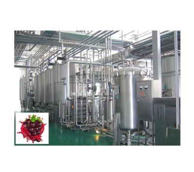 China Factory GRAPE WINE FRUIT WINE WINE PROCESSING LINE zu verkaufen