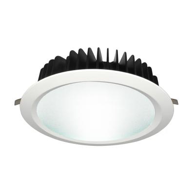 China 20W-80W Modern Cheap Led Light COB LED Recessed Ceiling Down Light Ip65 Surface Mounted Downlight for sale