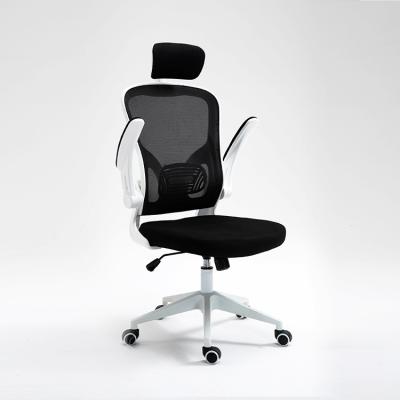 China Adjustable (height) office chair with flip-up arms for fat people anji mesh chair for sale