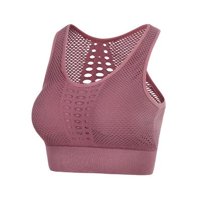 China Breathable Women's Super Soft Mesh Back Seamless Yoga Sports Bra for sale