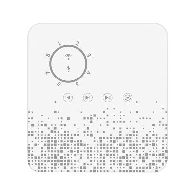 China APP or Voice Control Automatic Gate OPEN Alexa Voice Control Smart Simultaneous System Time WiFi Remote Sprinkler Timing Controller 8 Zone Irrigation for sale