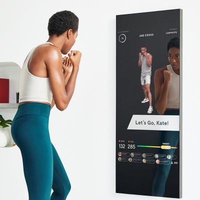 China Indoor Advertising Transparent LCD Display 49 Inch Indoor Customizable Wall Mounted Smart Fitness Mirror With Front Camera for sale