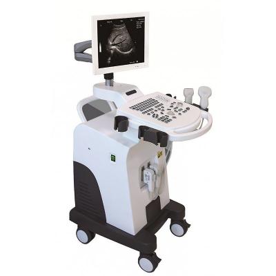 China B/W ultrasound for sale