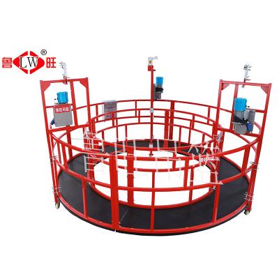 China Hotels Special Shaped Suspension Platform Painting for sale