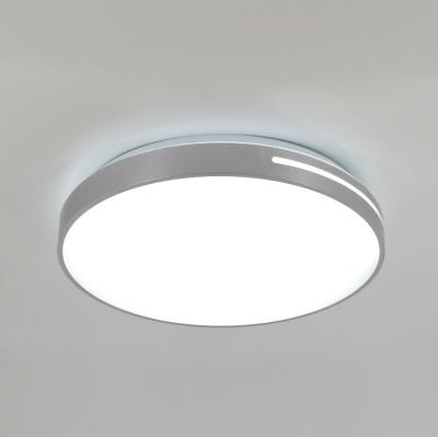 China 2020 New Product 45cm Contemporary Round Ceiling Mount Led Light Modern 36W Ceiling Lights for sale